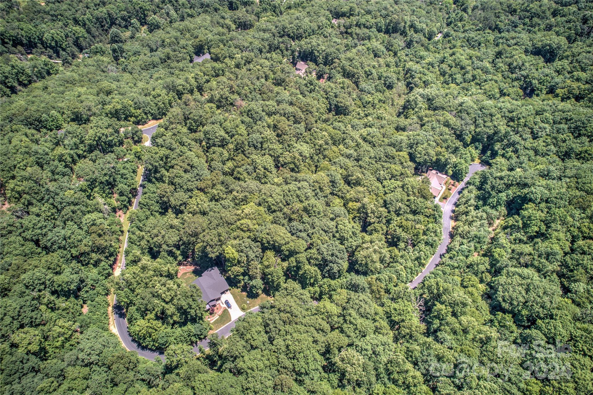 567 Shining Rock Path Horse Shoe NC 28742