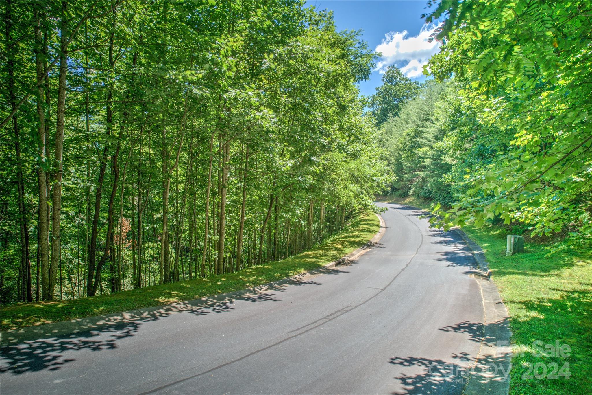567 Shining Rock Path Horse Shoe NC 28742