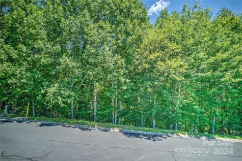 1018 Mills River Way Horse Shoe NC 28742