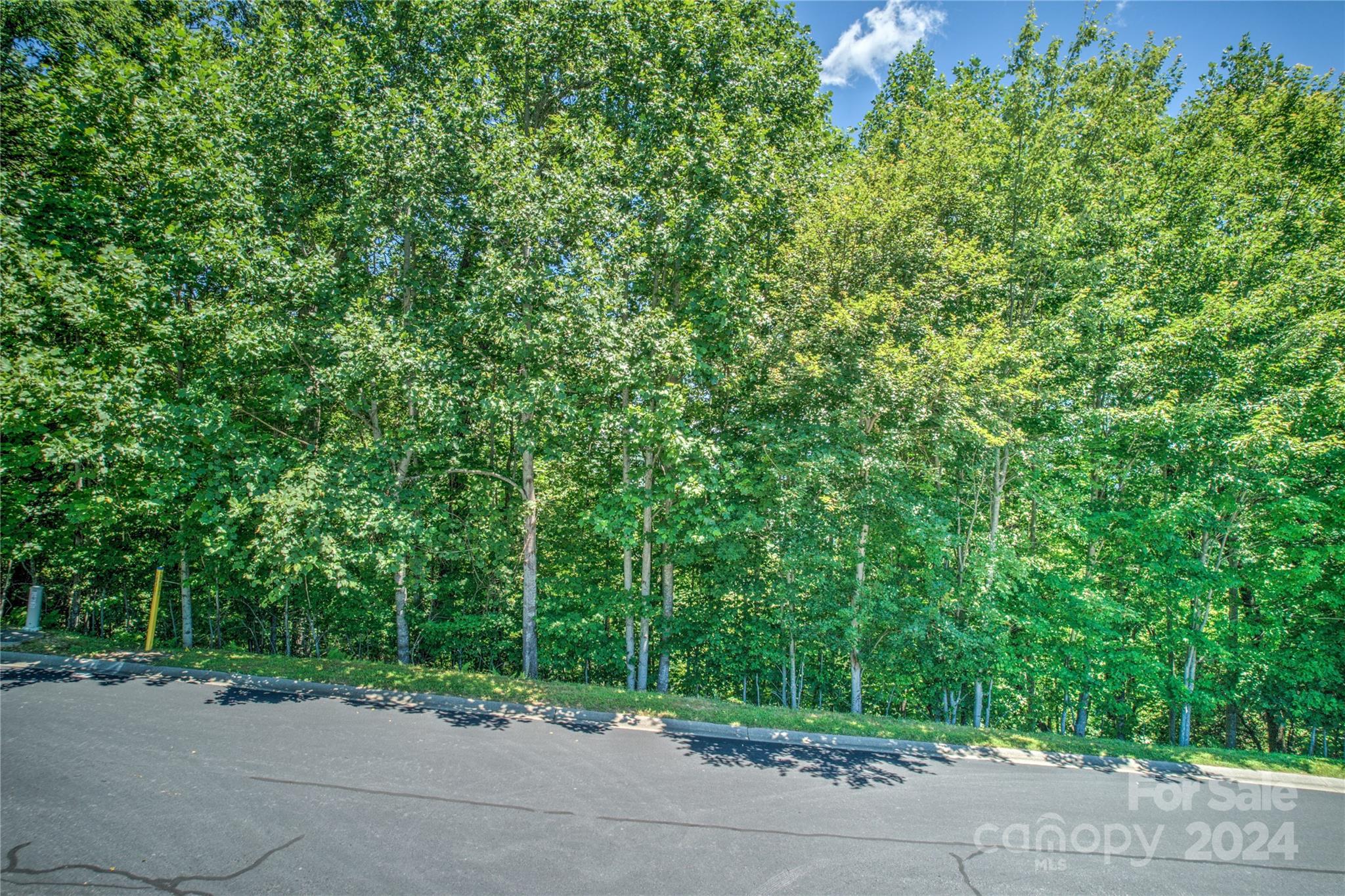 1018 Mills River Way Horse Shoe NC 28742
