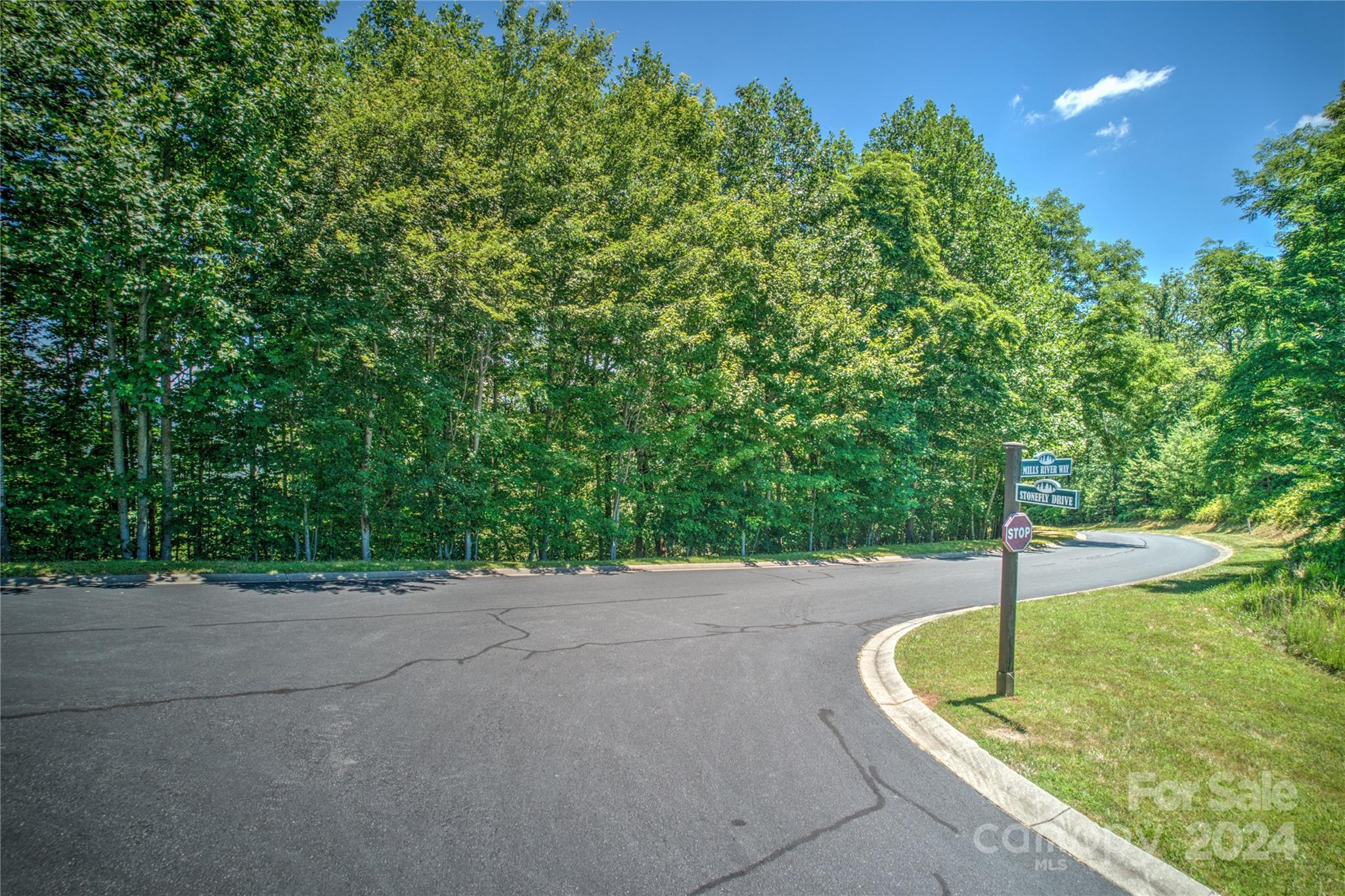 1018 Mills River Way Horse Shoe NC 28742