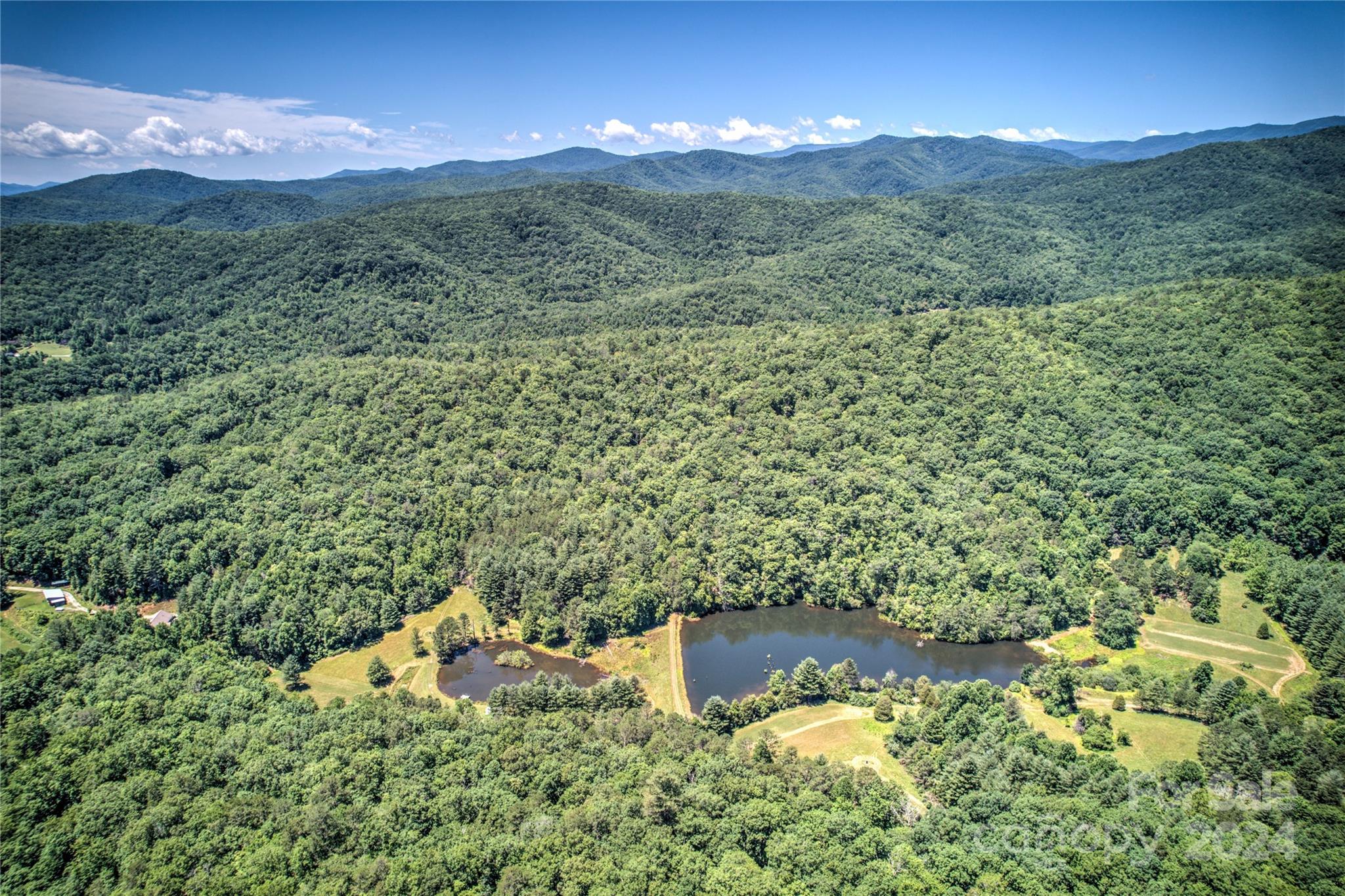 1018 Mills River Way Horse Shoe NC 28742