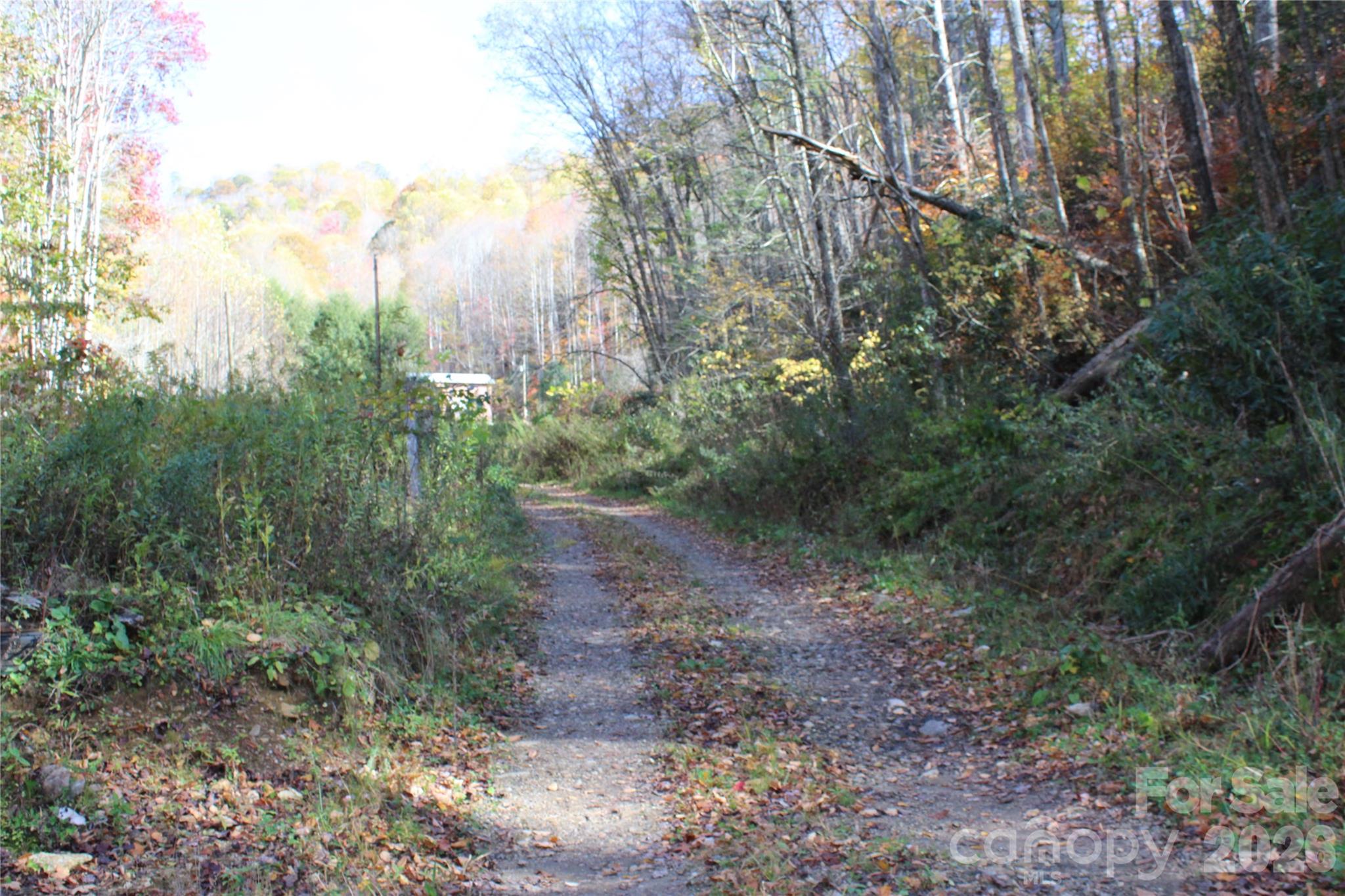 44 Toms Creek Road Bakersville NC 28705