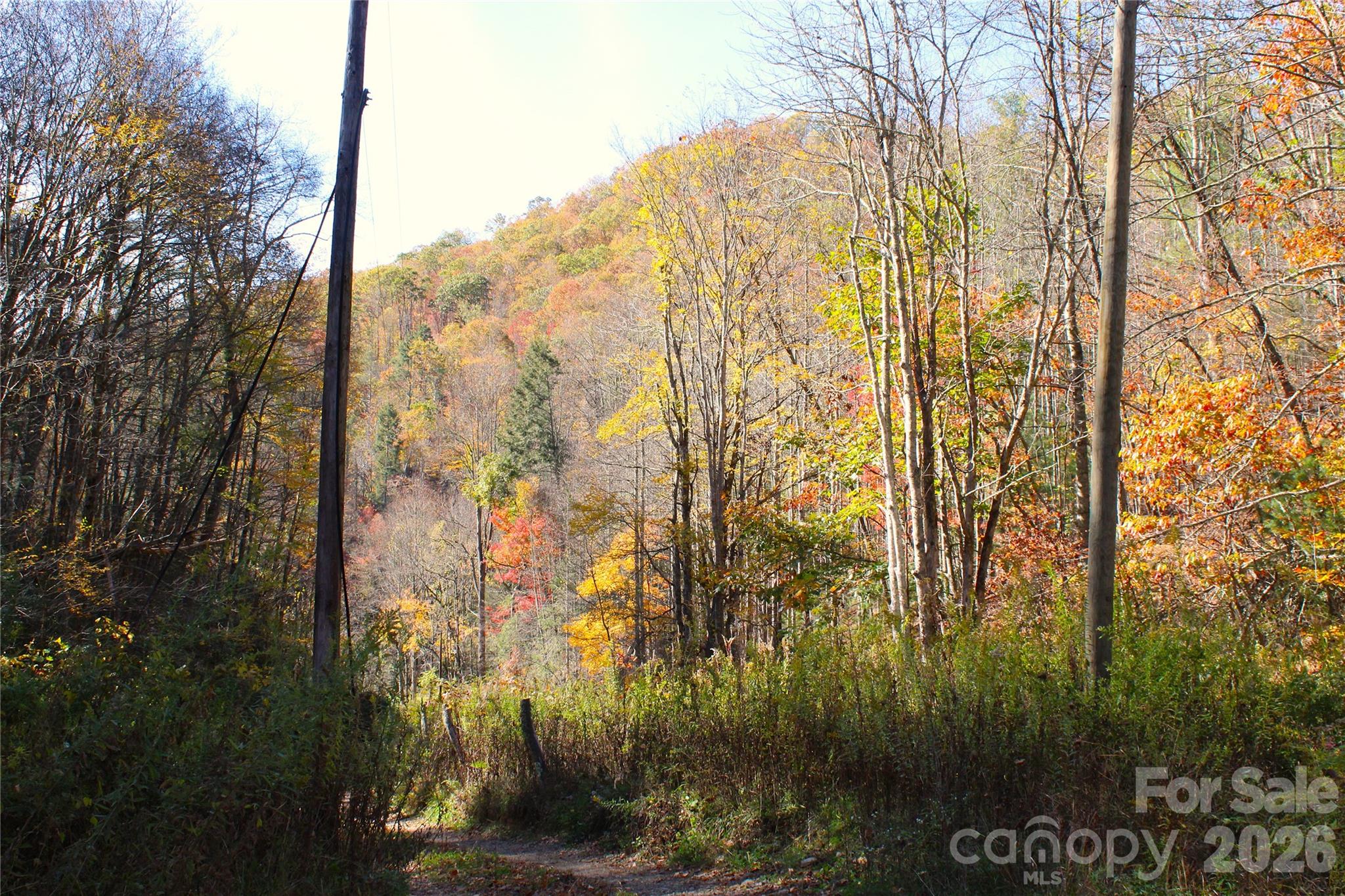44 Toms Creek Road Bakersville NC 28705