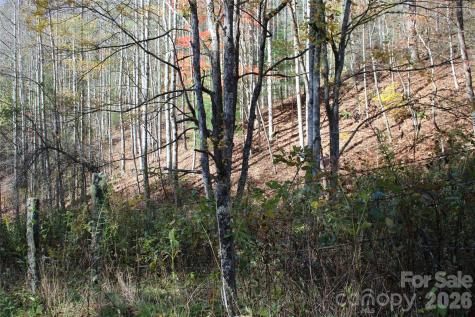 44 Toms Creek Road Bakersville NC 28705