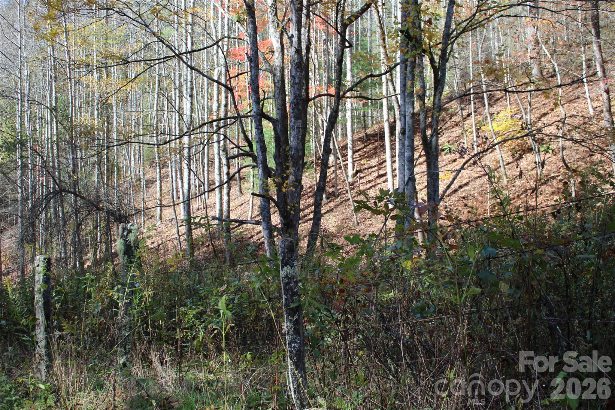 44 Toms Creek Road Bakersville NC 28705