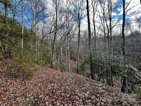 Lot 47 N Nickajack Road Franklin NC 28734