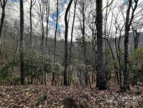 Lot 47 N Nickajack Road Franklin NC 28734
