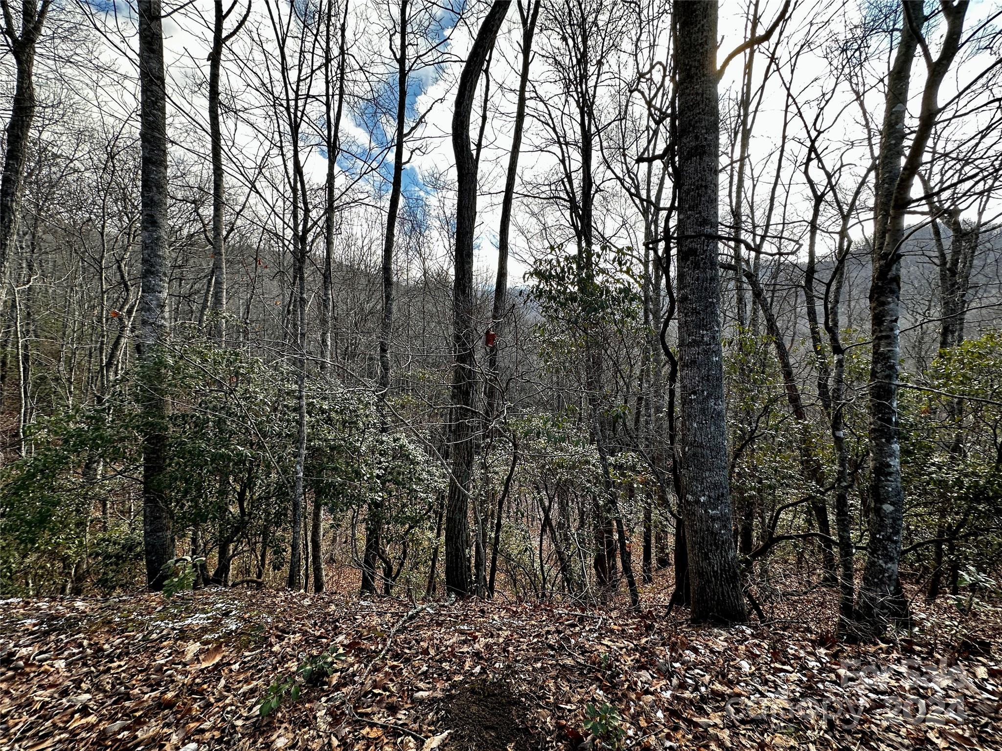 Lot 47 N Nickajack Road Franklin NC 28734