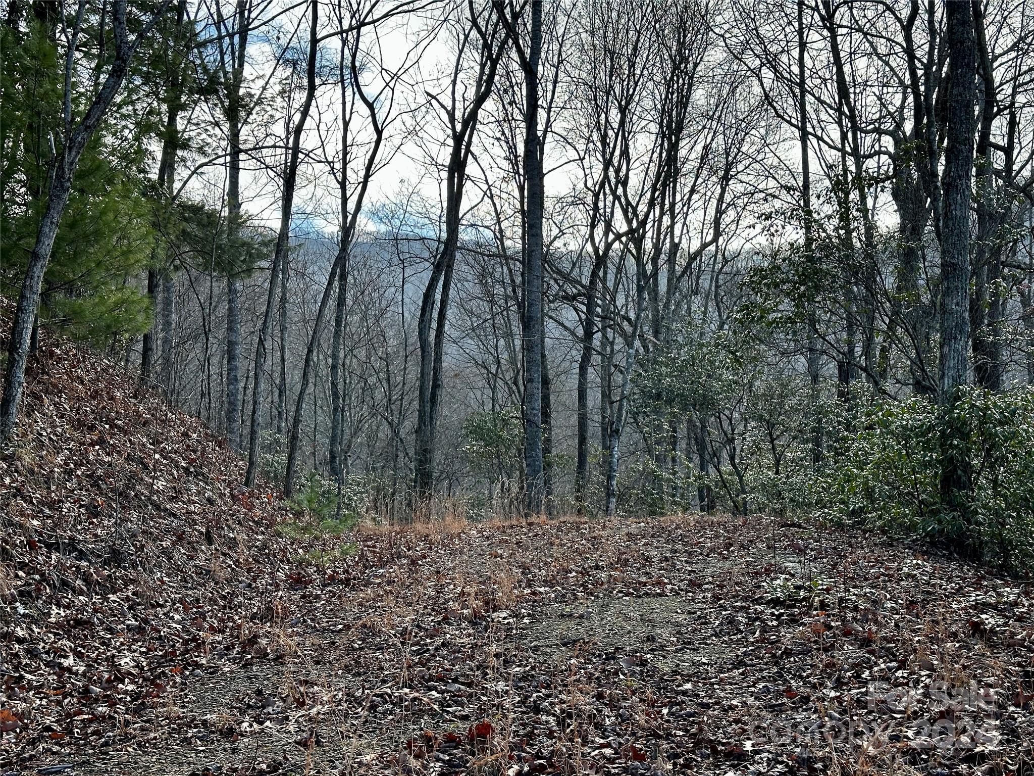 Lot 47 N Nickajack Road Franklin NC 28734