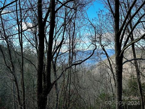 Lot 47 N Nickajack Road Franklin NC 28734