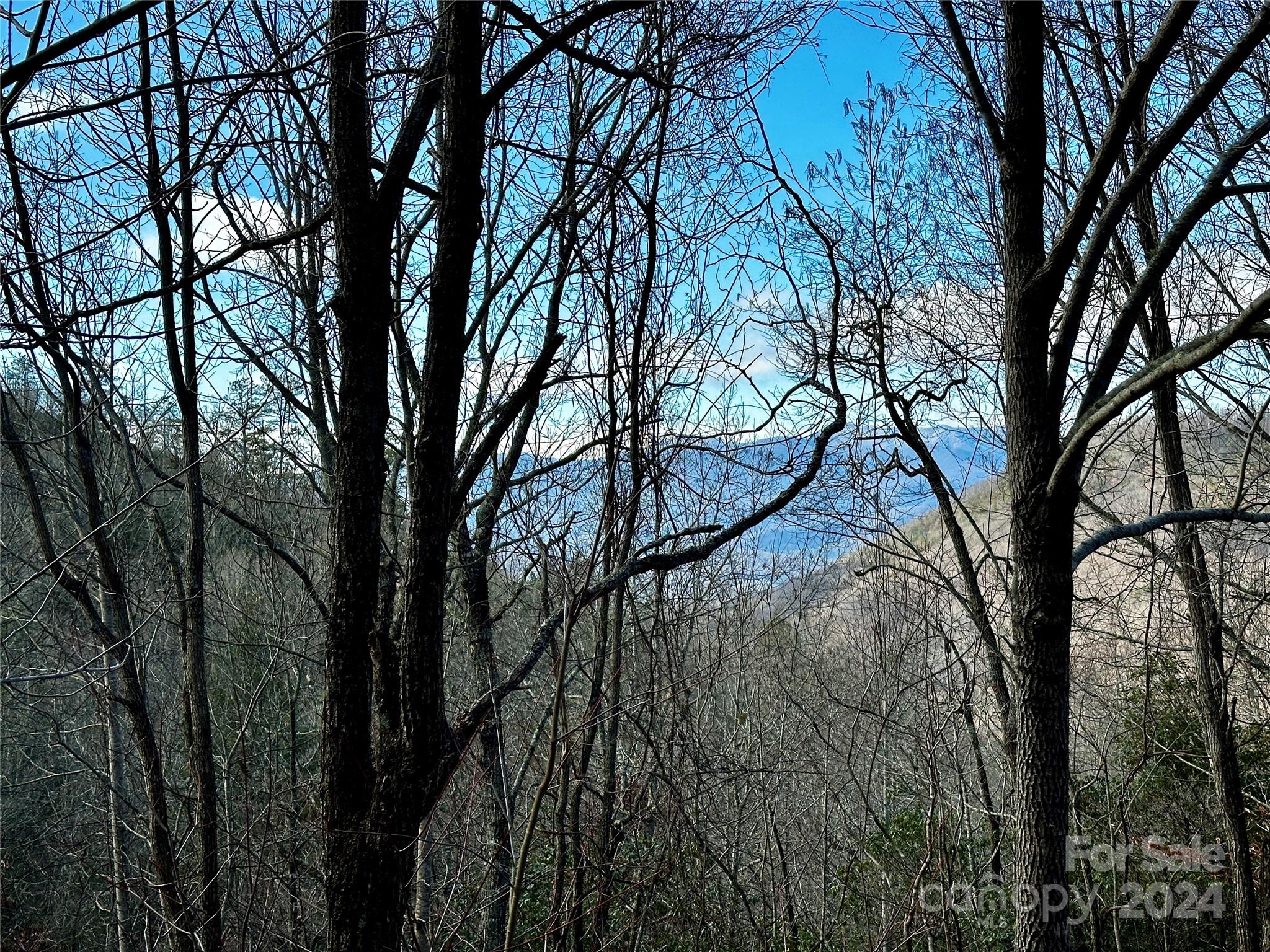 Lot 47 N Nickajack Road Franklin NC 28734