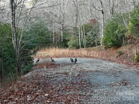 Lot 47 N Nickajack Road Franklin NC 28734