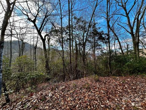 Lot 47 N Nickajack Road Franklin NC 28734