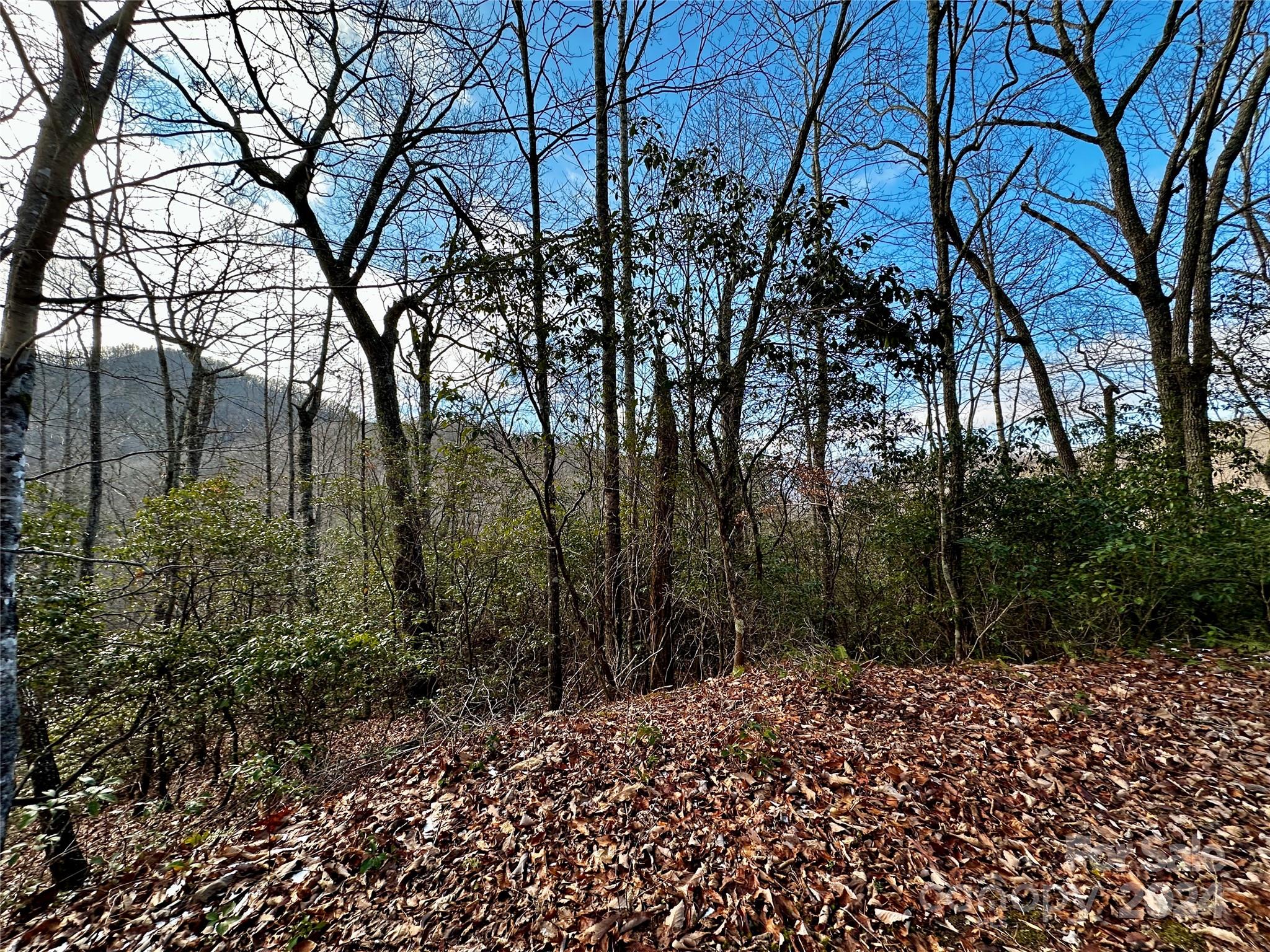 Lot 47 N Nickajack Road Franklin NC 28734
