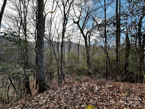 Lot 47 N Nickajack Road Franklin NC 28734