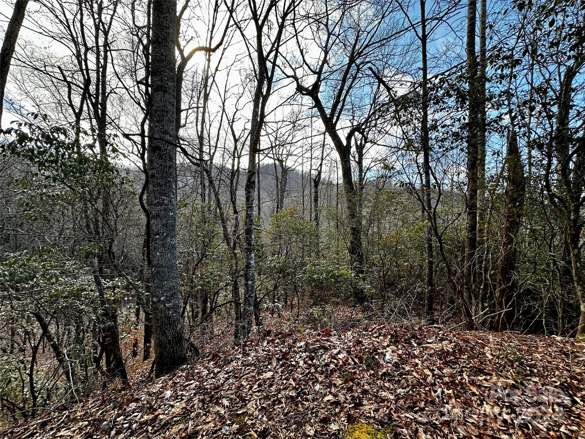 Lot 47 N Nickajack Road Franklin NC 28734