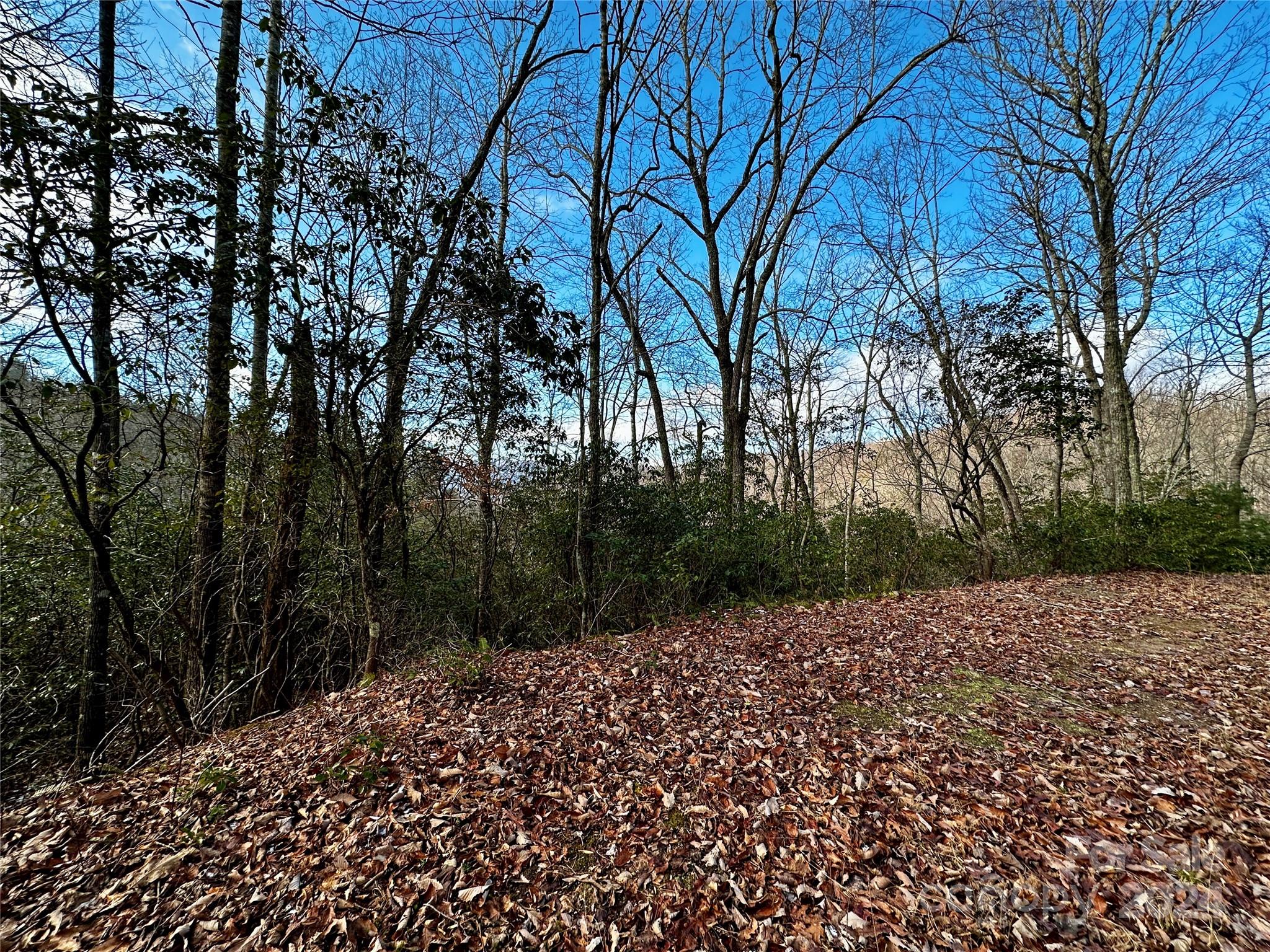 Lot 47 N Nickajack Road Franklin NC 28734