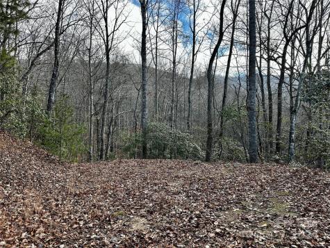 Lot 47 N Nickajack Road Franklin NC 28734
