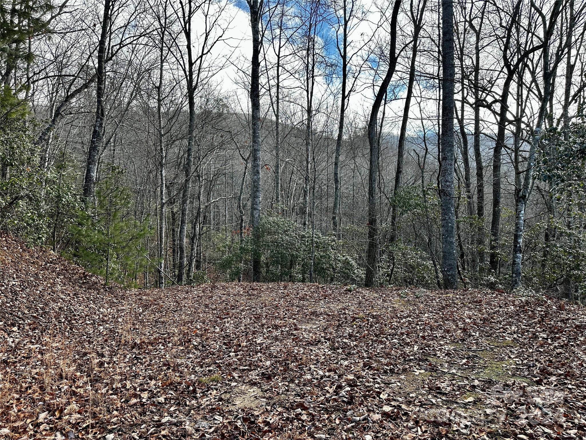Lot 47 N Nickajack Road Franklin NC 28734