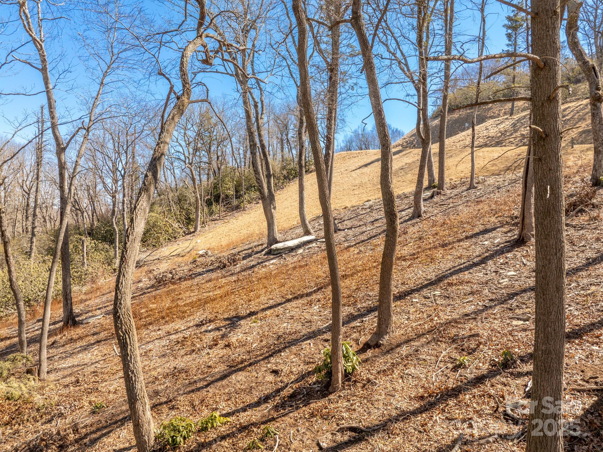 0000 East Garden Trail Hendersonville NC 28792