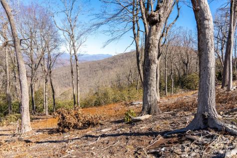 0000 East Garden Trail Hendersonville NC 28792