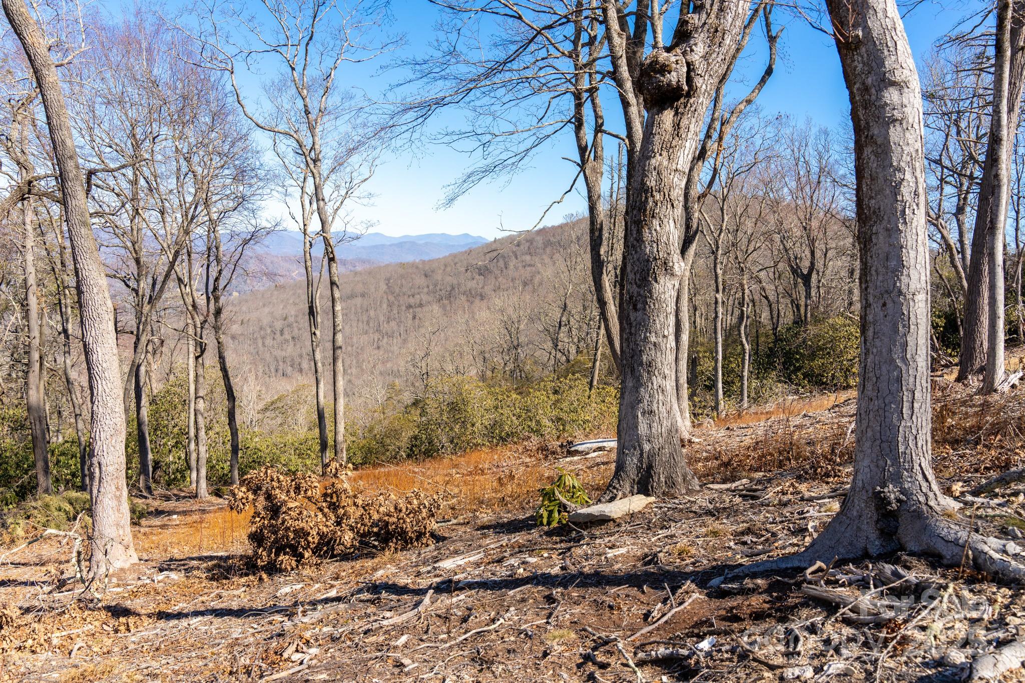 0000 East Garden Trail Hendersonville NC 28792