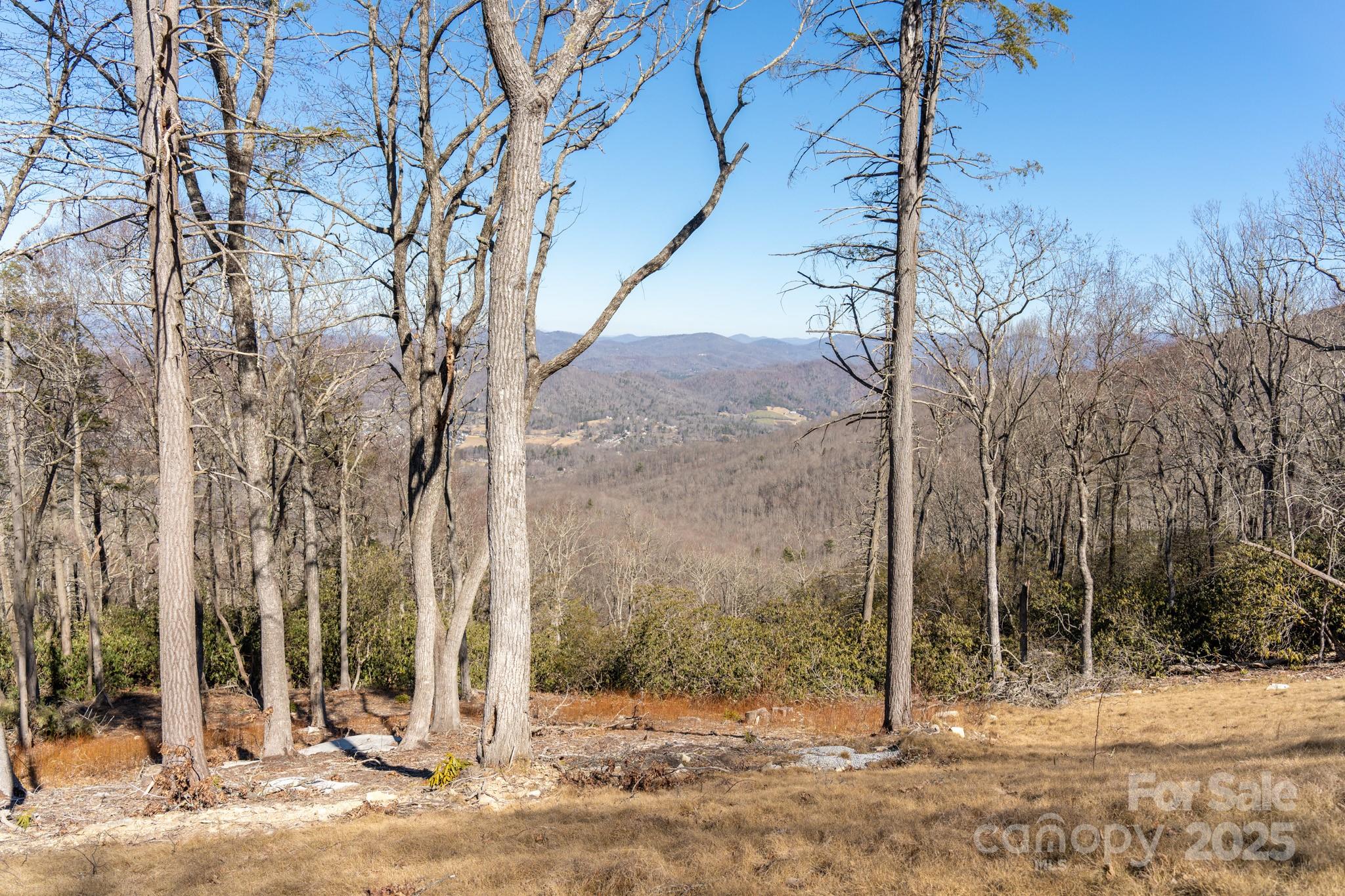 0000 East Garden Trail Hendersonville NC 28792