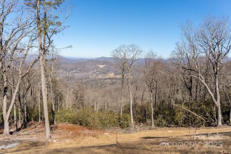 0000 East Garden Trail Hendersonville NC 28792