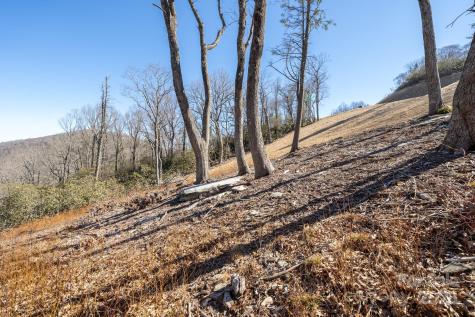 0000 East Garden Trail Hendersonville NC 28792