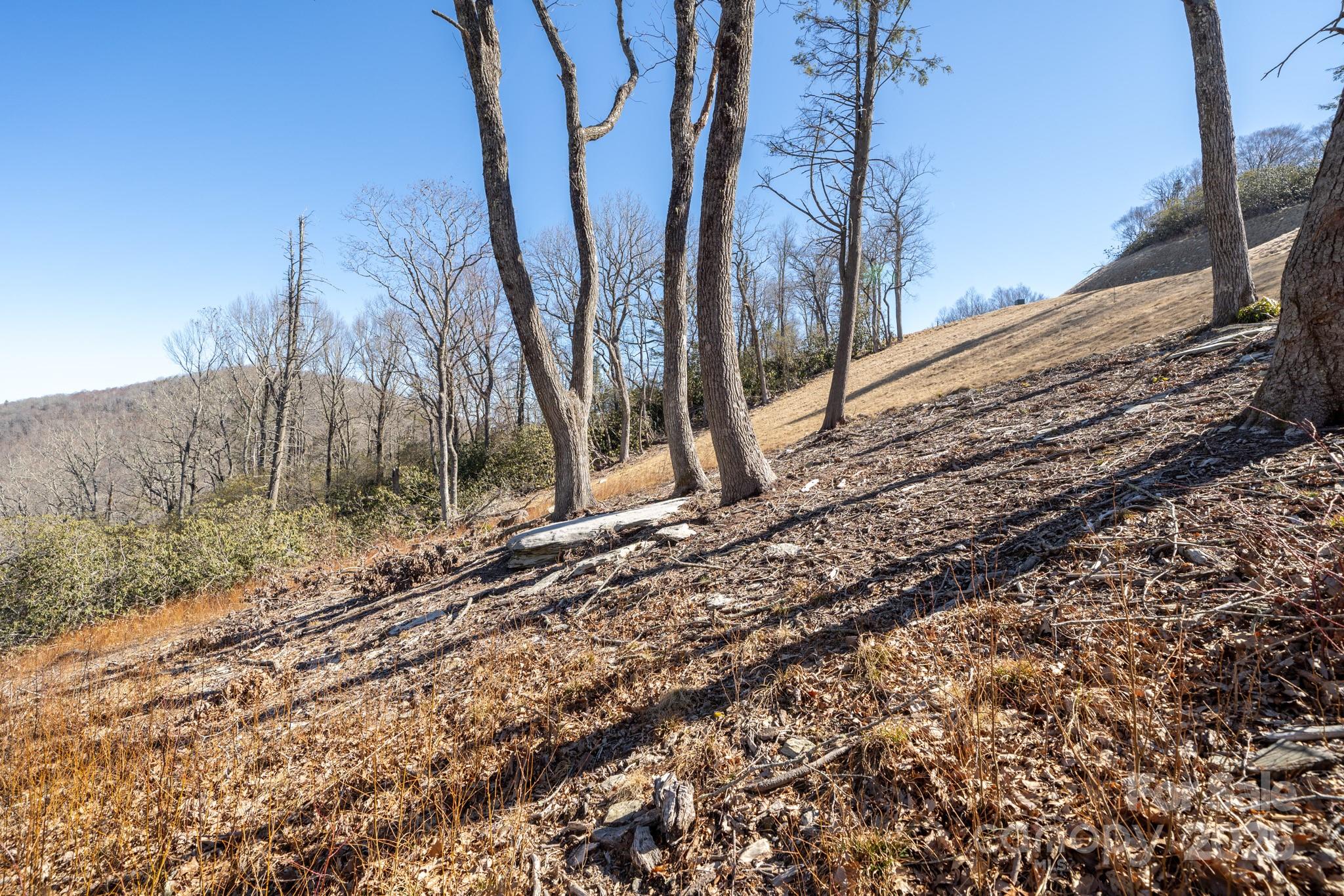 0000 East Garden Trail Hendersonville NC 28792