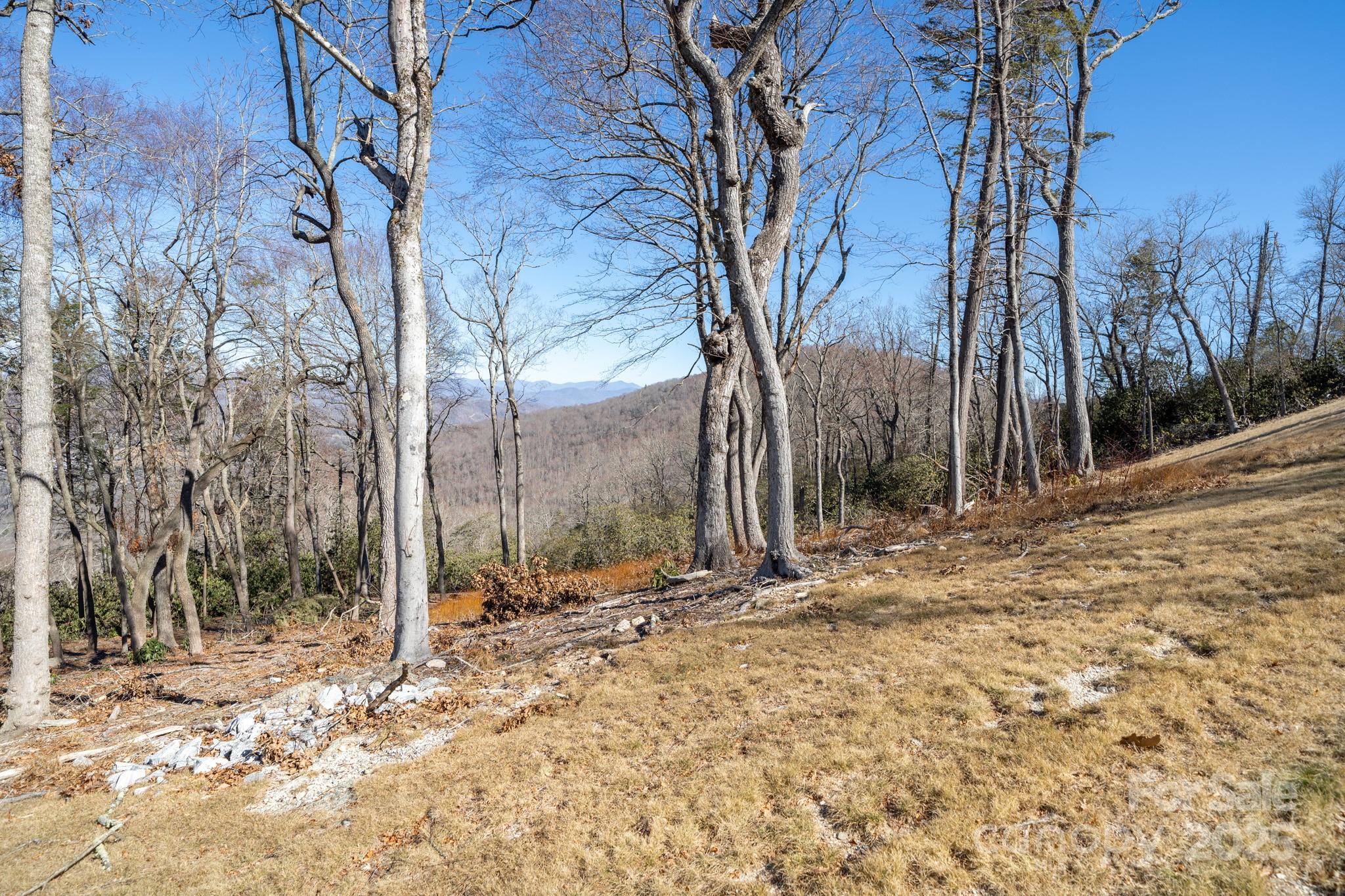 0000 East Garden Trail Hendersonville NC 28792