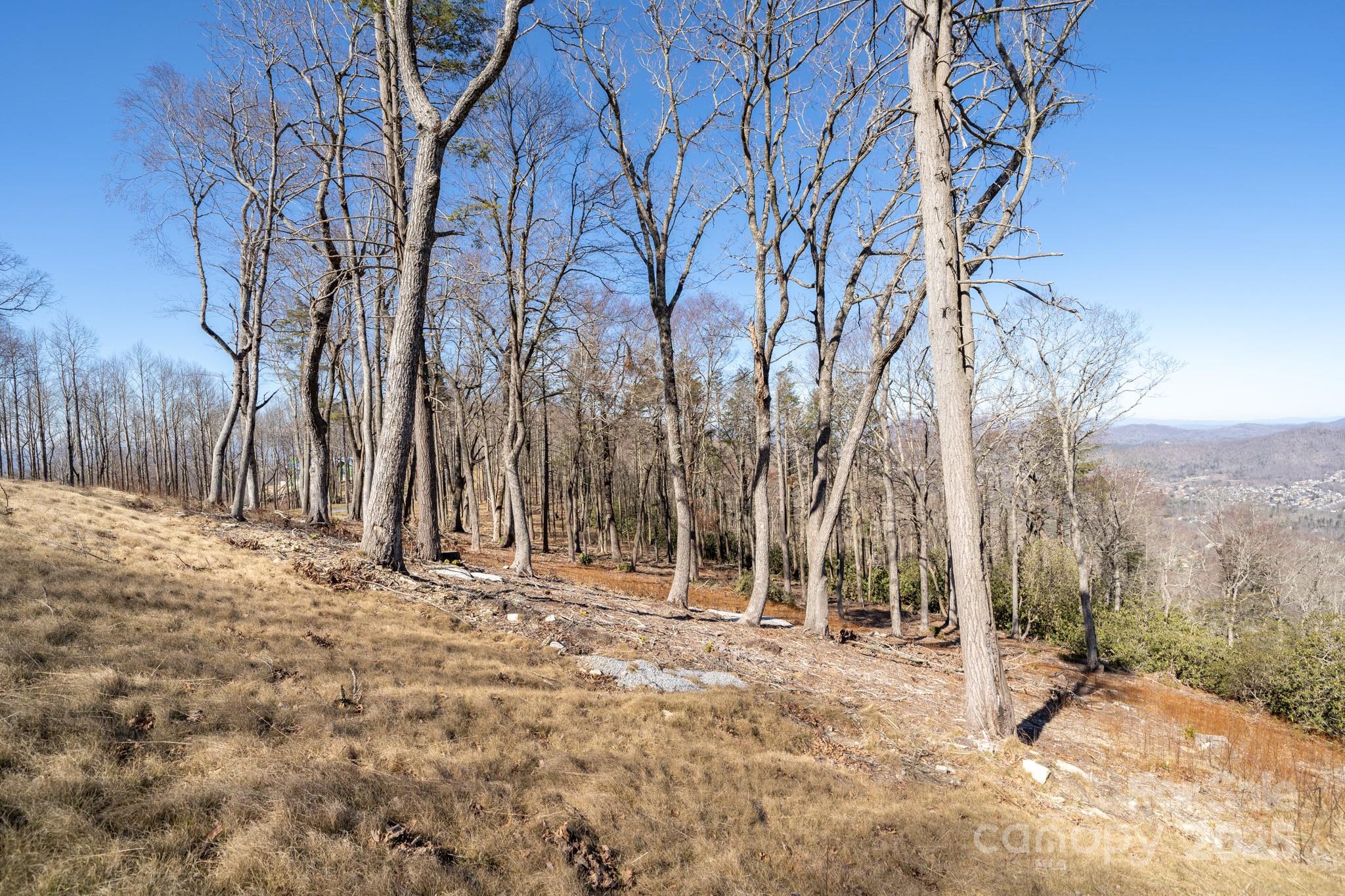0000 East Garden Trail Hendersonville NC 28792