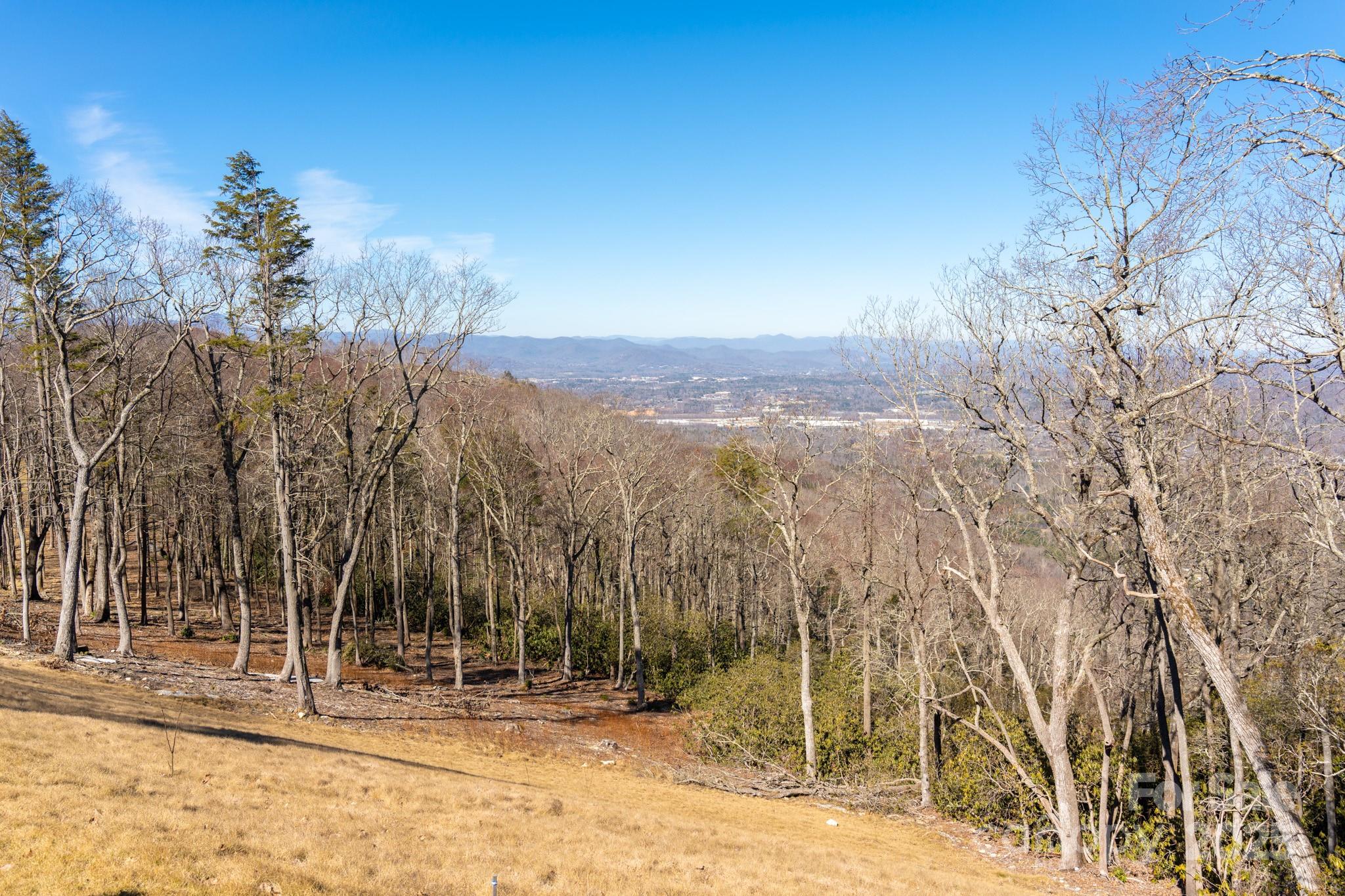 0000 East Garden Trail Hendersonville NC 28792