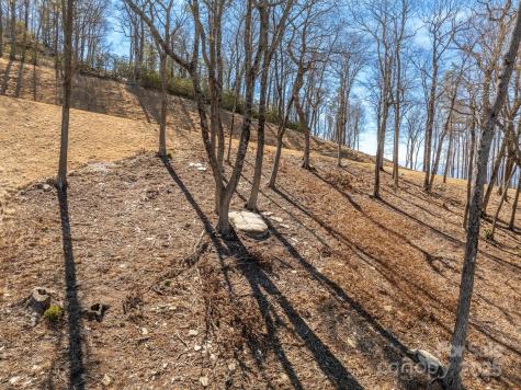 0000 East Garden Trail Hendersonville NC 28792
