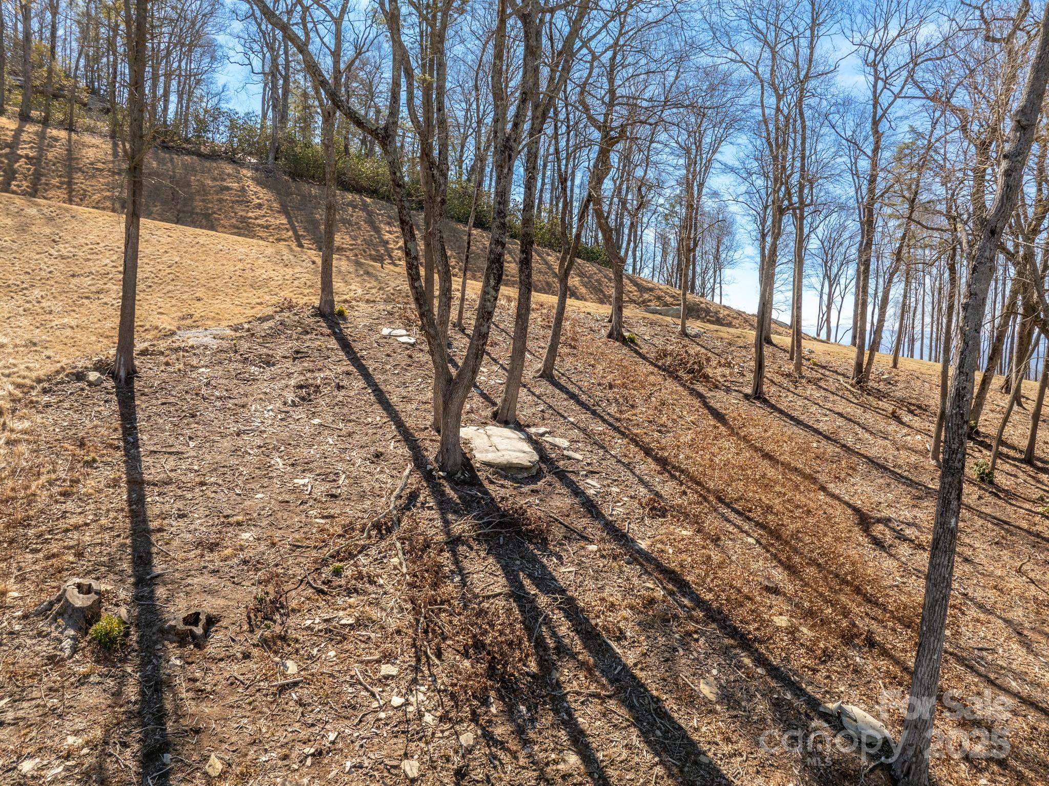 0000 East Garden Trail Hendersonville NC 28792