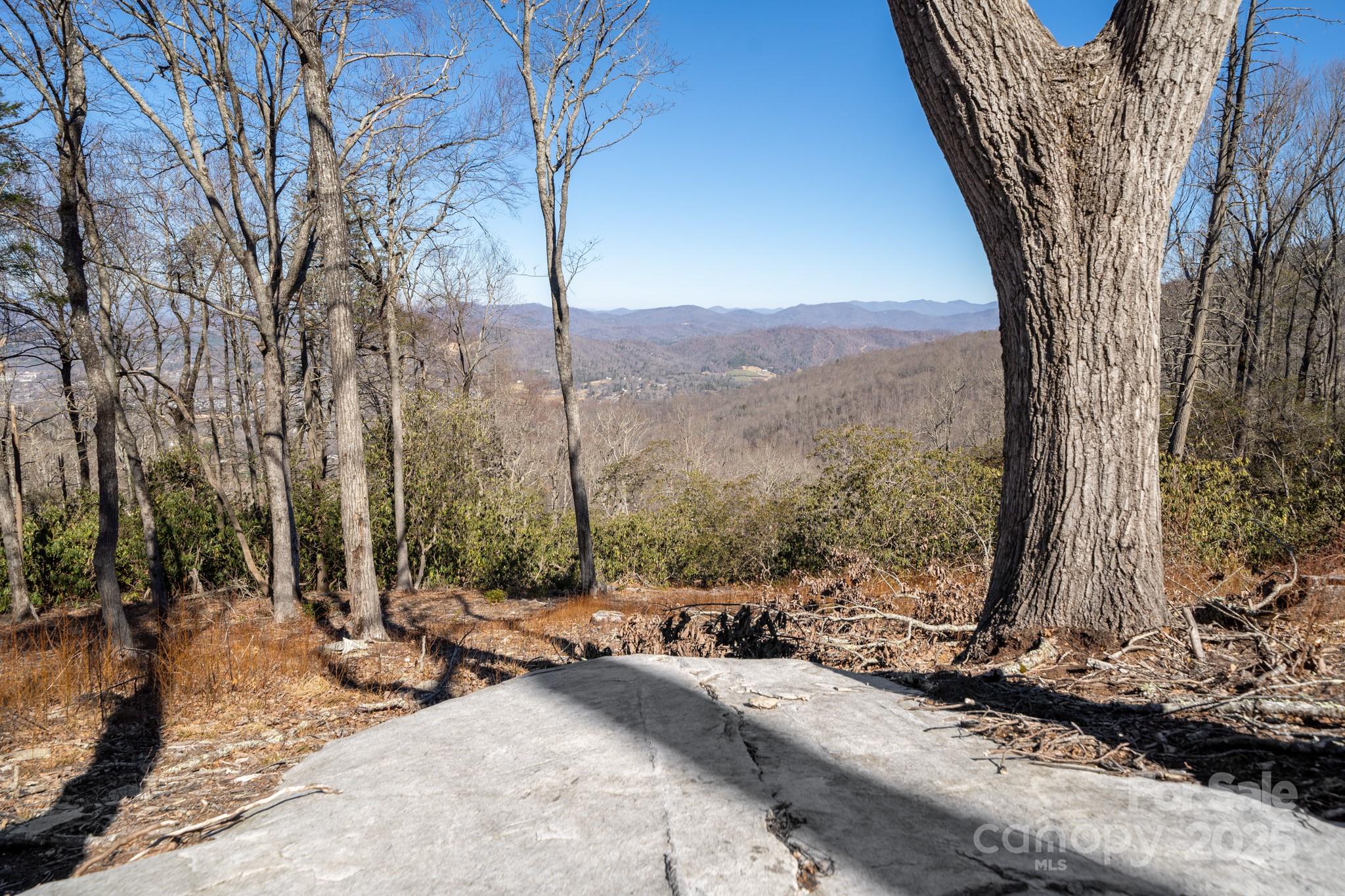 0000 East Garden Trail Hendersonville NC 28792