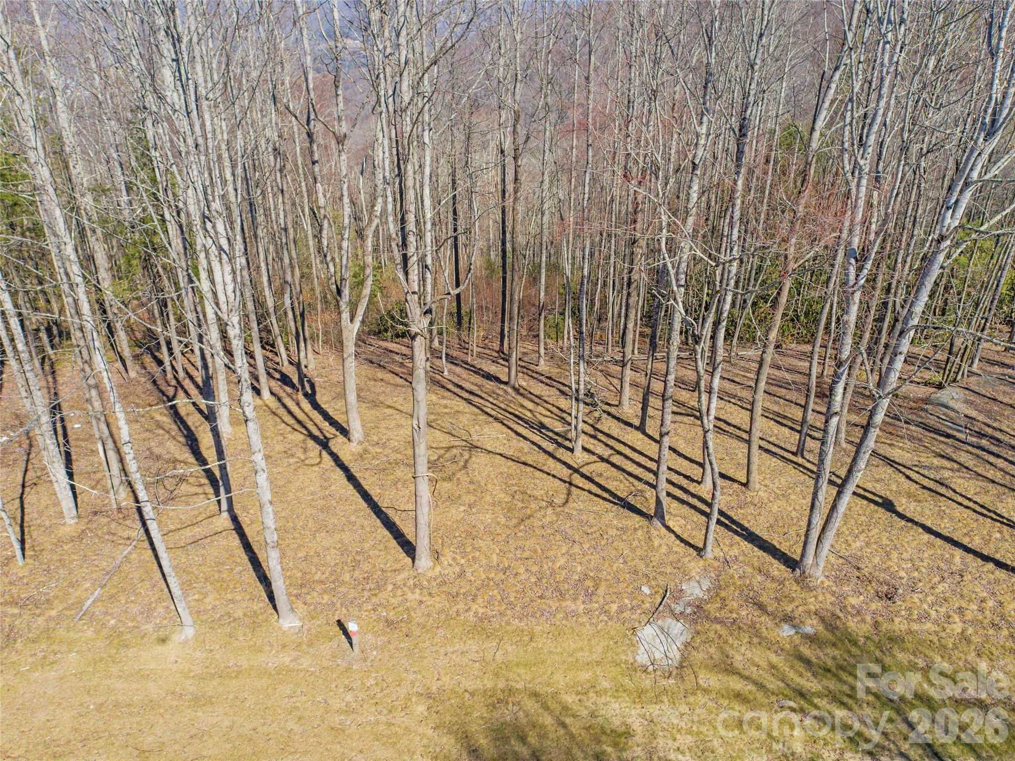 0 East Garden Trail Hendersonville NC 28792