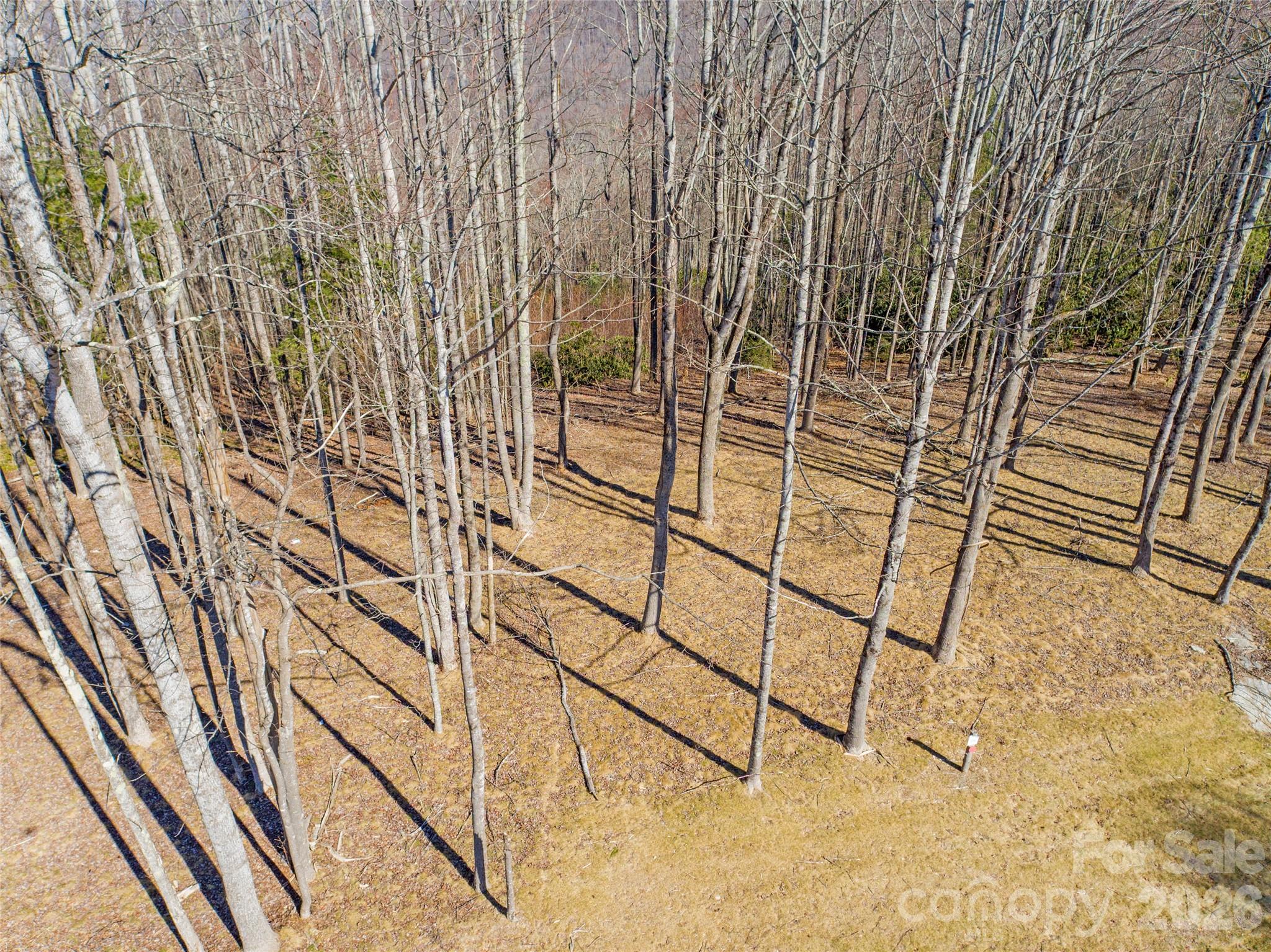 0 East Garden Trail Hendersonville NC 28792