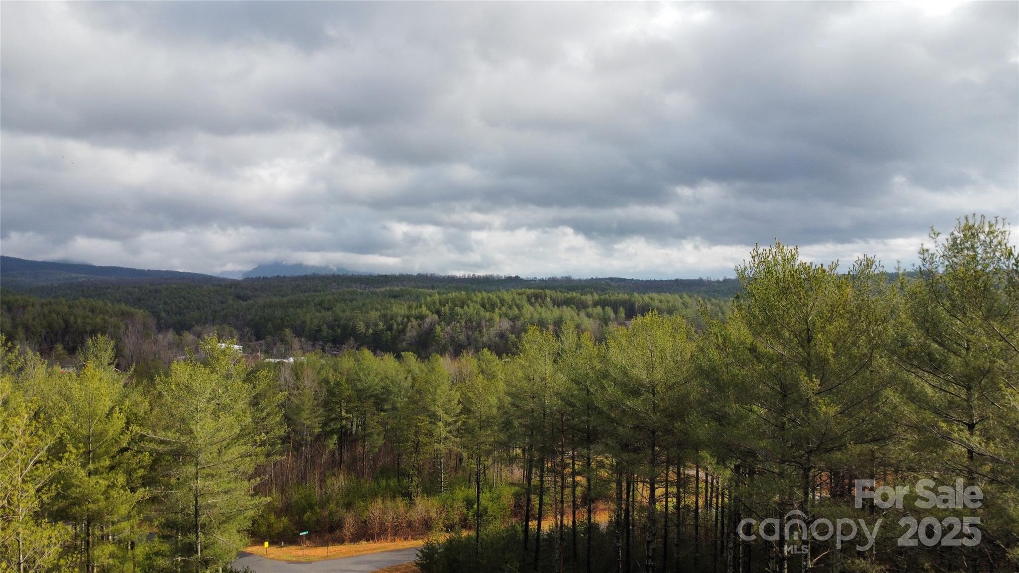 26 Peninsula Reserve Road Nebo NC 28761