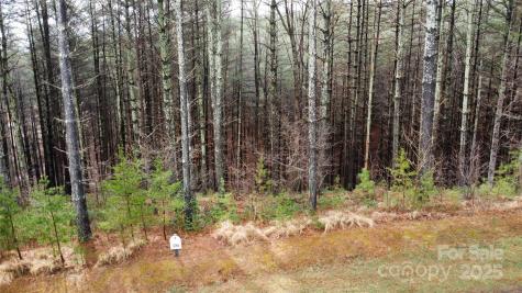 26 Peninsula Reserve Road Nebo NC 28761