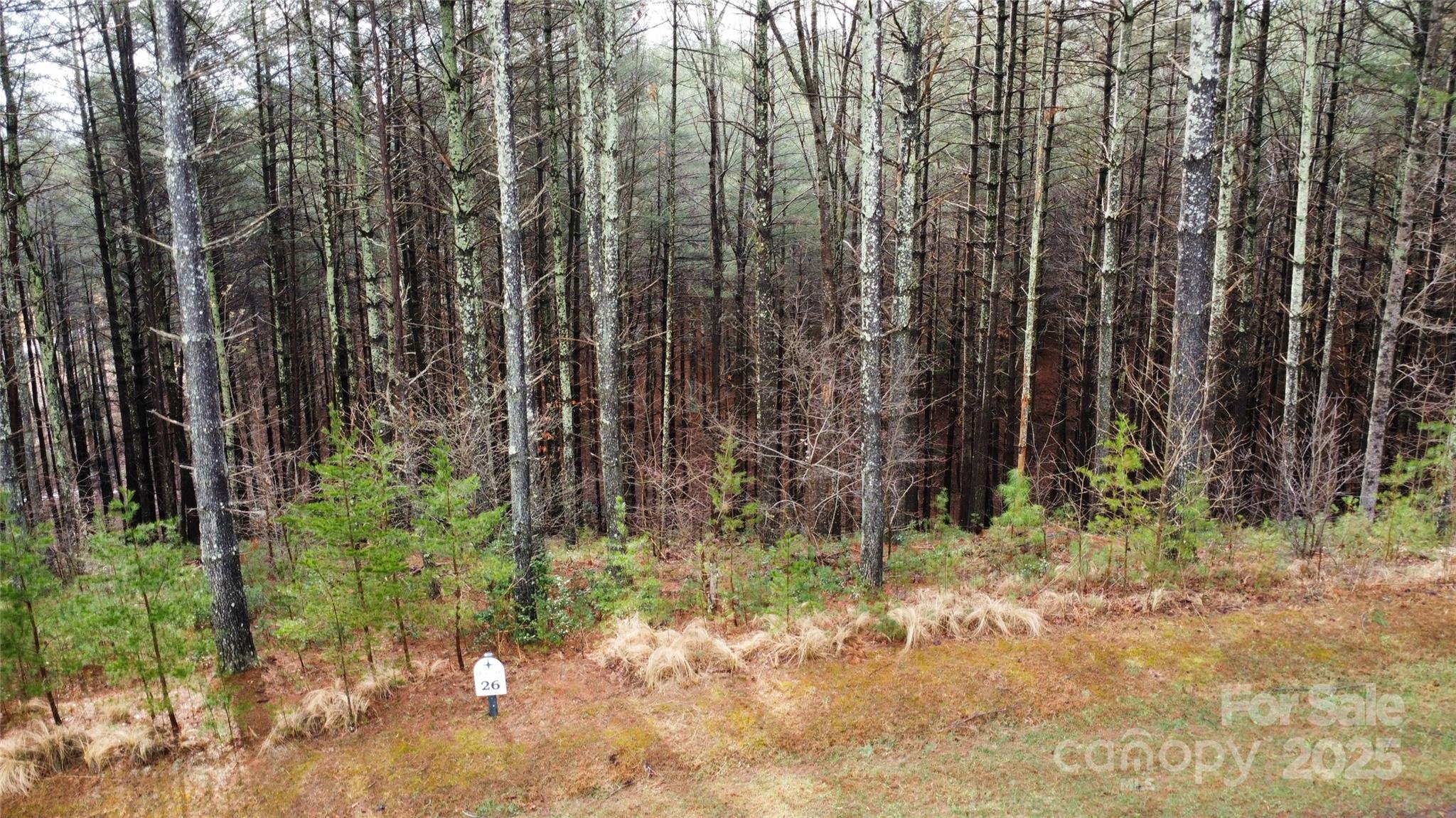 26 Peninsula Reserve Road Nebo NC 28761