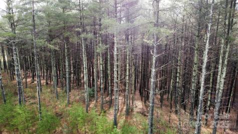 26 Peninsula Reserve Road Nebo NC 28761