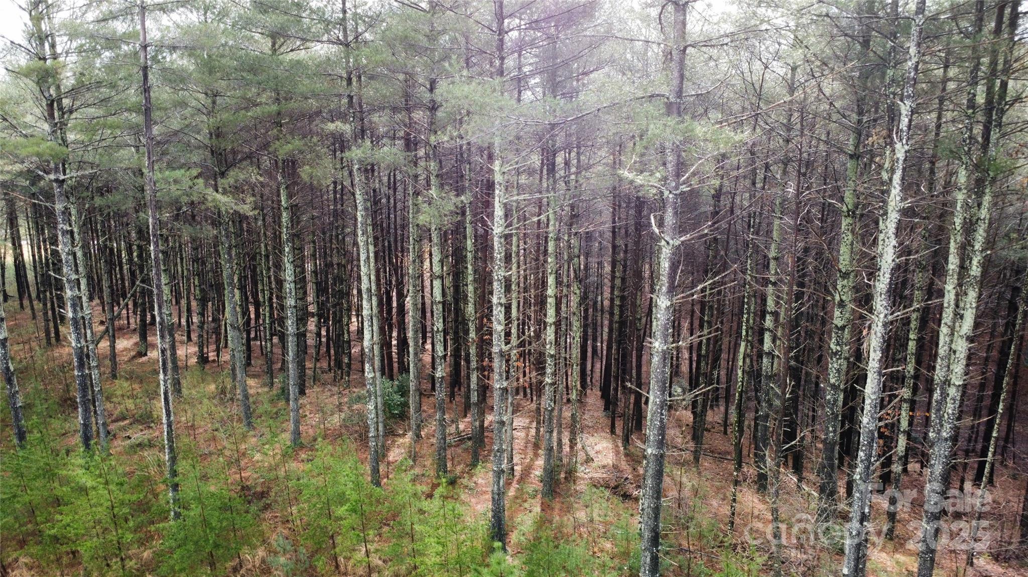 26 Peninsula Reserve Road Nebo NC 28761
