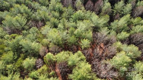 26 Peninsula Reserve Road Nebo NC 28761