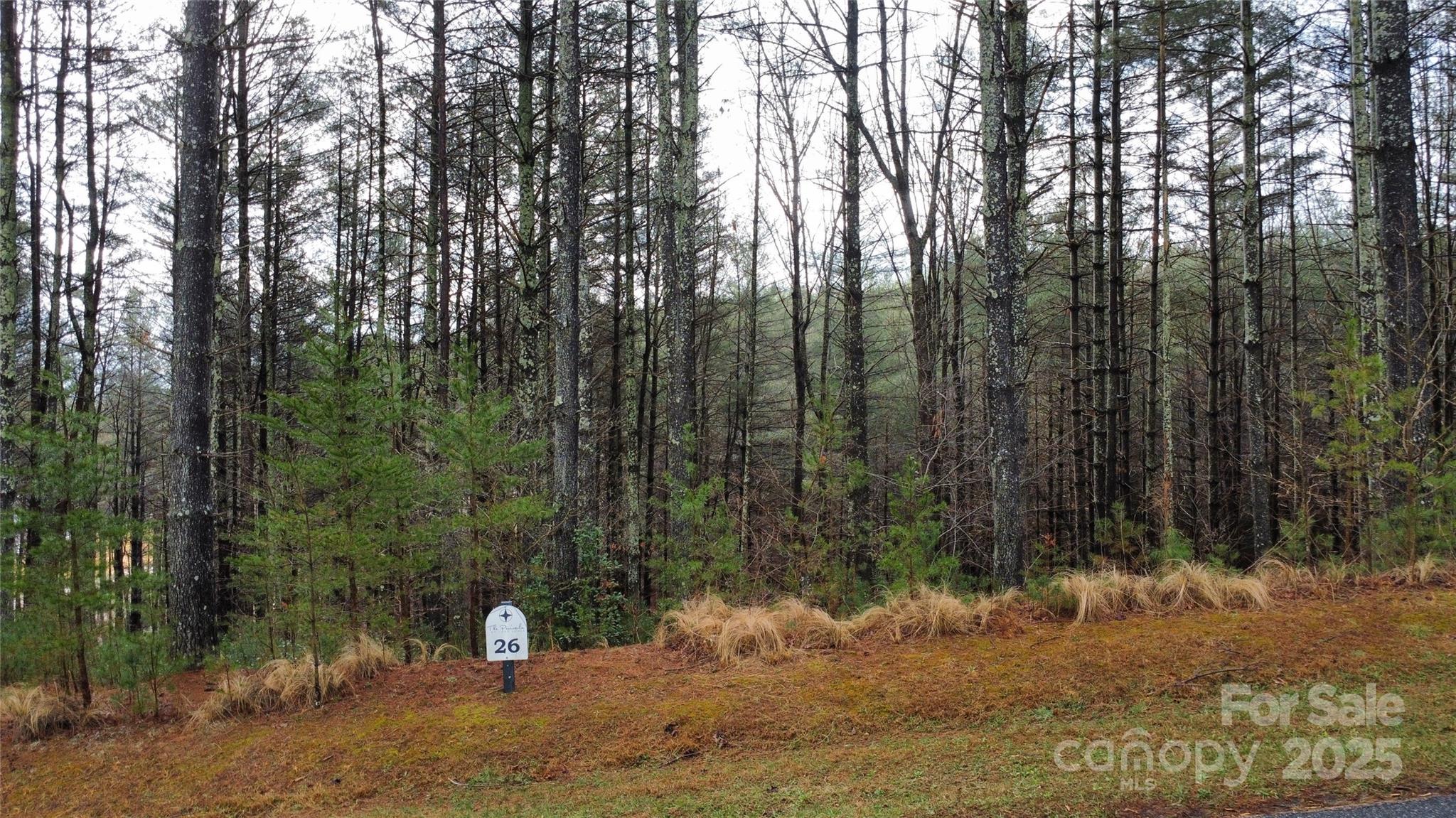 26 Peninsula Reserve Road Nebo NC 28761