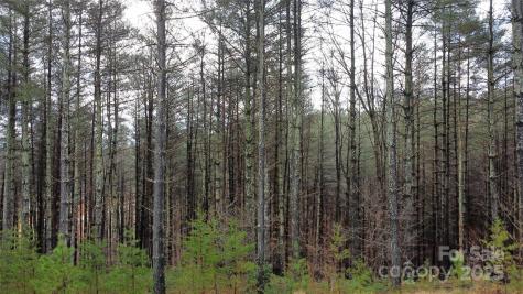 26 Peninsula Reserve Road Nebo NC 28761