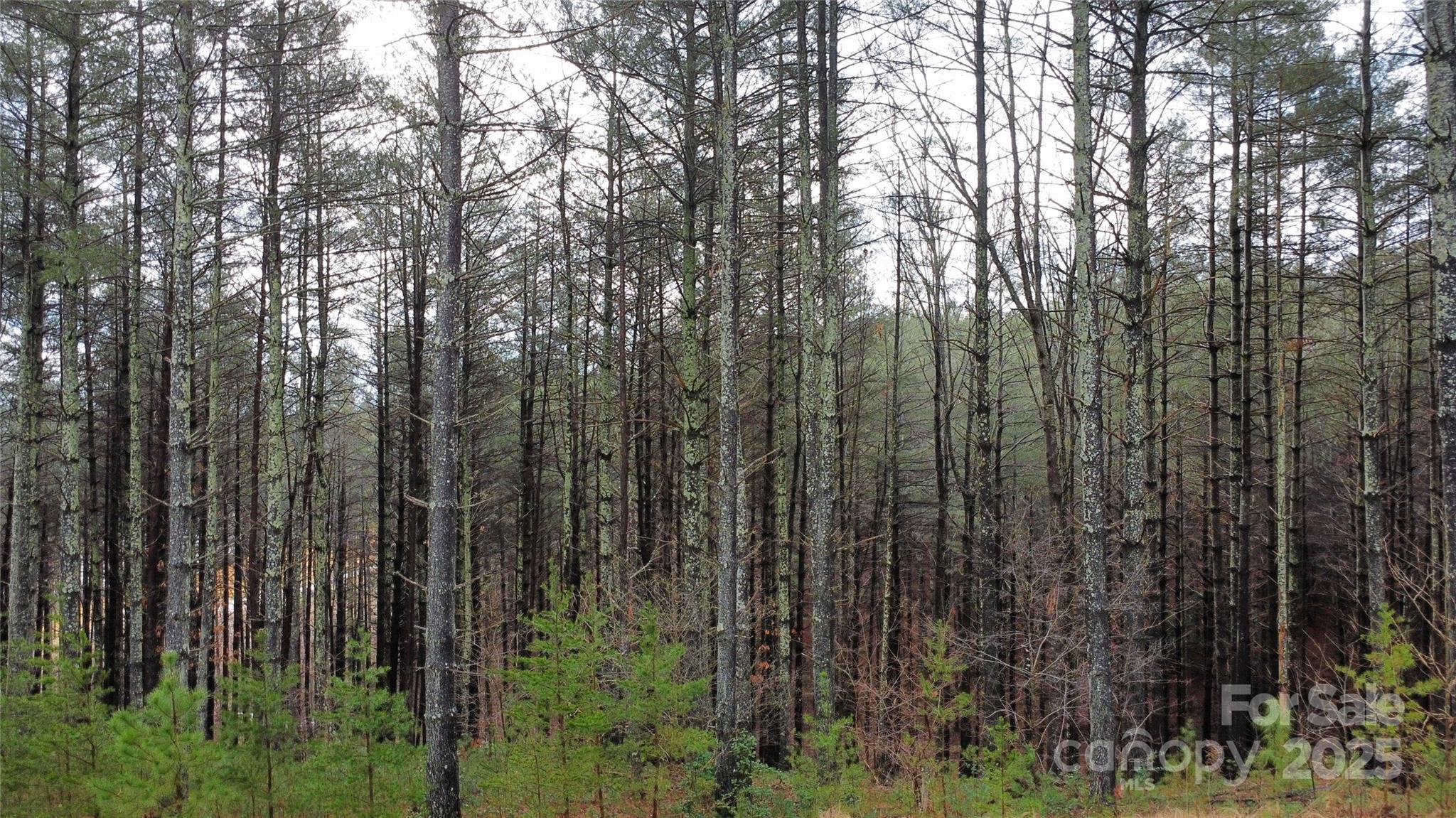 26 Peninsula Reserve Road Nebo NC 28761