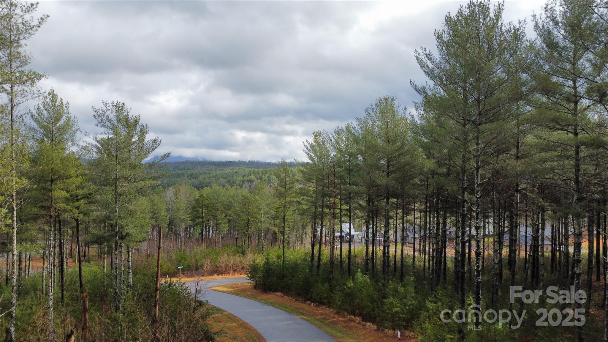 26 Peninsula Reserve Road Nebo NC 28761