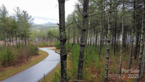 26 Peninsula Reserve Road Nebo NC 28761